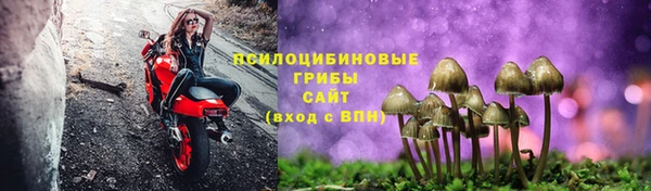 стафф Волосово